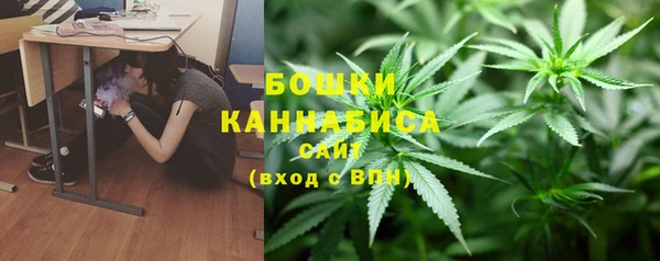 дурь Верхний Тагил