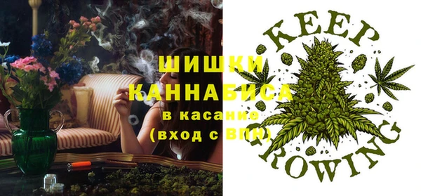 мдпв Бугульма